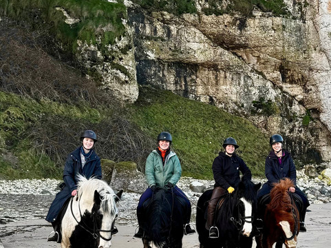 Bespoke Equestrian Ireland-都柏林必去景点