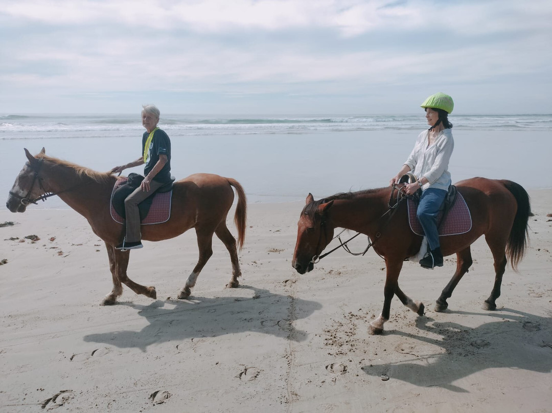 Cintsa Horses-Chintsa West必去景点