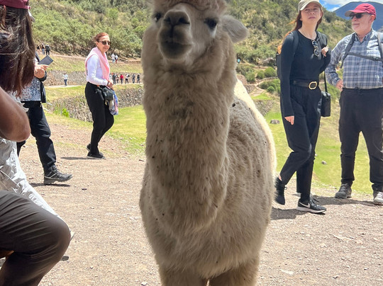 Crown Taxi & Remisse-利马必去景点