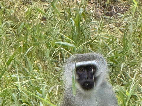 African Travel Consultants-Sabie Park必去景点