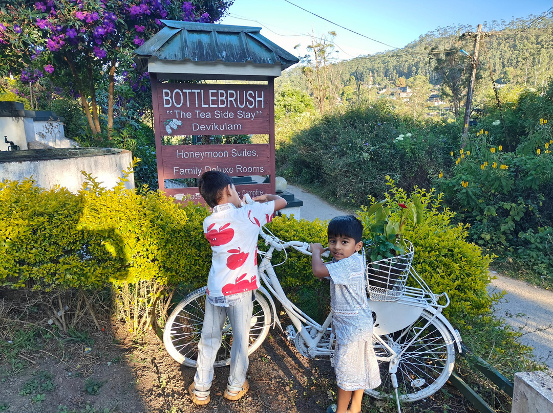 BottleBrush The Tea Side Stay