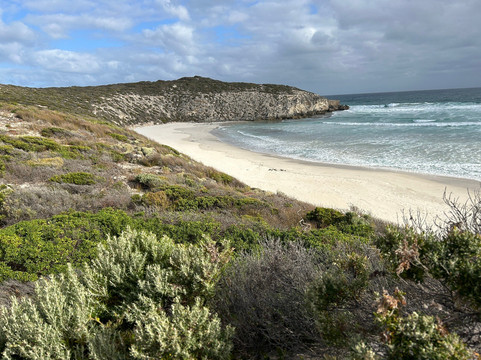 Little Sahara-袋鼠岛必去景点