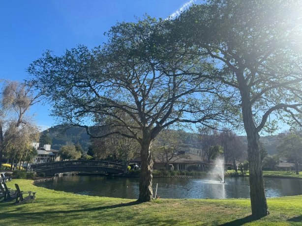 鹑园高尔夫球会-浴室