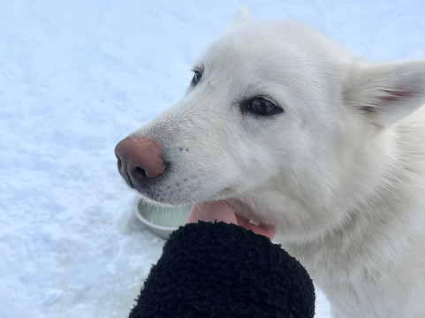 Leila'venture-Molines-en-Queyras必去景点