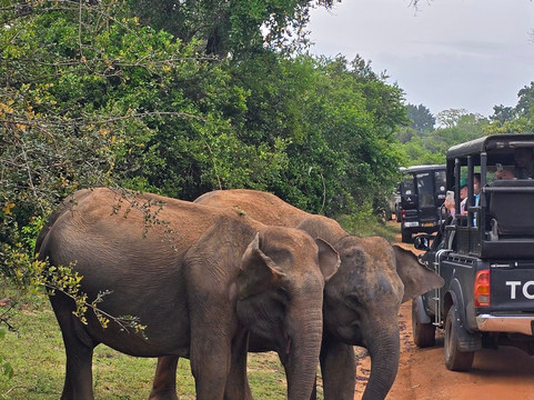 Travelling Pearl Lanka-尼甘布必去景点