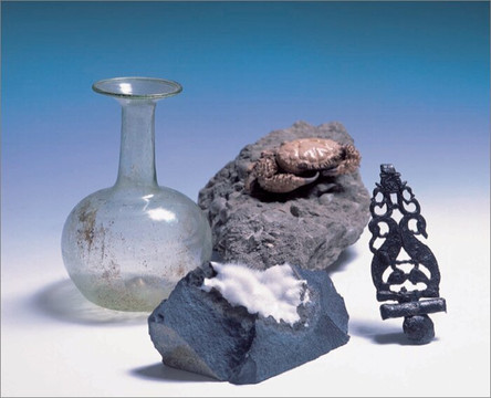 Museo Civico "G. Zannato"