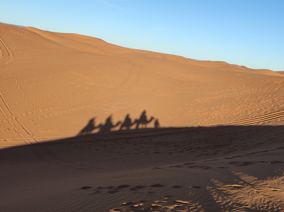 Camel Trip Morocco-梅如卡必去景点