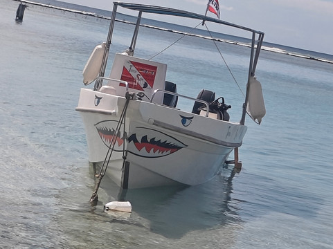 Tropical Sea Divers-博卡奇卡必去景点