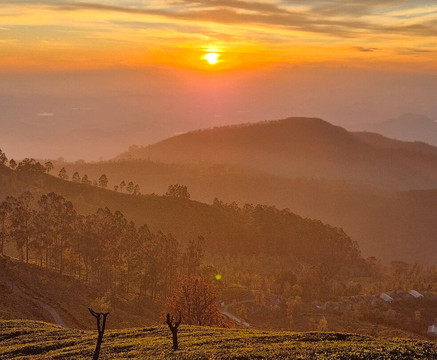 Haputale Tuk Tuk Tours-哈普特莱必去景点