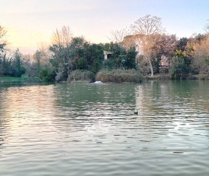 Villone Puccini-皮斯托亚必去景点