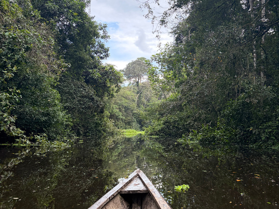 Amazon Jungle Johnny Tours-Puerto Narino必去景点