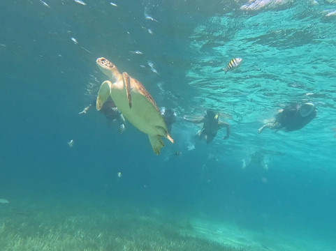 Playa El Cielo Cozumel-考祖梅必去景点