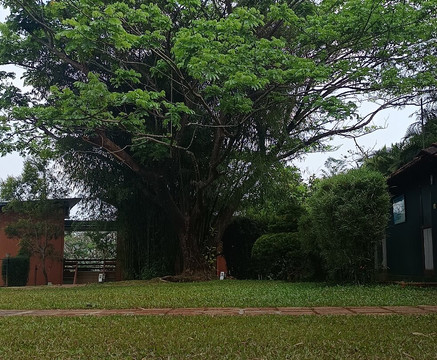 花瓣度假村主图