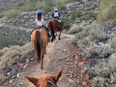 Cave Creek Trail Rides-洞溪必去景点