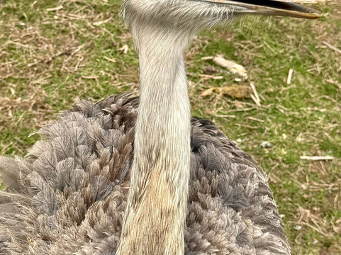 Cress Creeks Farm And Corn Maze-Ellijay必去景点