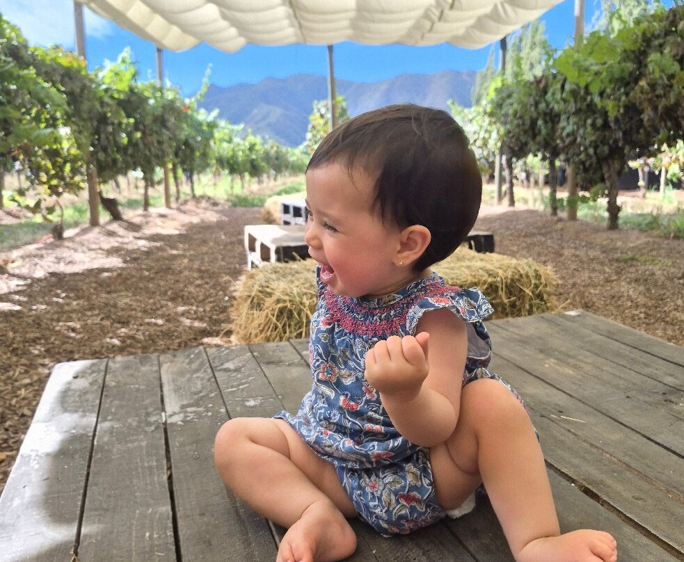 Viña Casa Acosta-San Vicente de Tagua Tagua必去景点