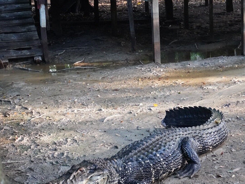 Fluvial Tours-Rurrenabaque必去景点