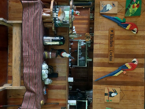 Inkamazonia Jungle Specialist-Manu必去景点