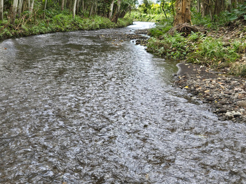 Waipio Valley Shuttle-库库伊哈尔必去景点