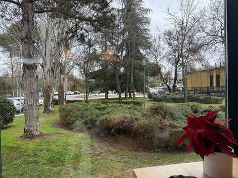 Alabardero Pozuelo主图