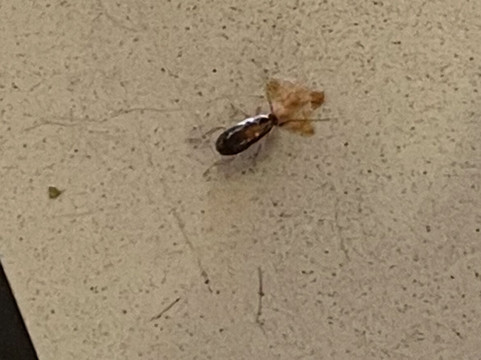 Antalya Migros Shopping Center-安塔利亚必去景点