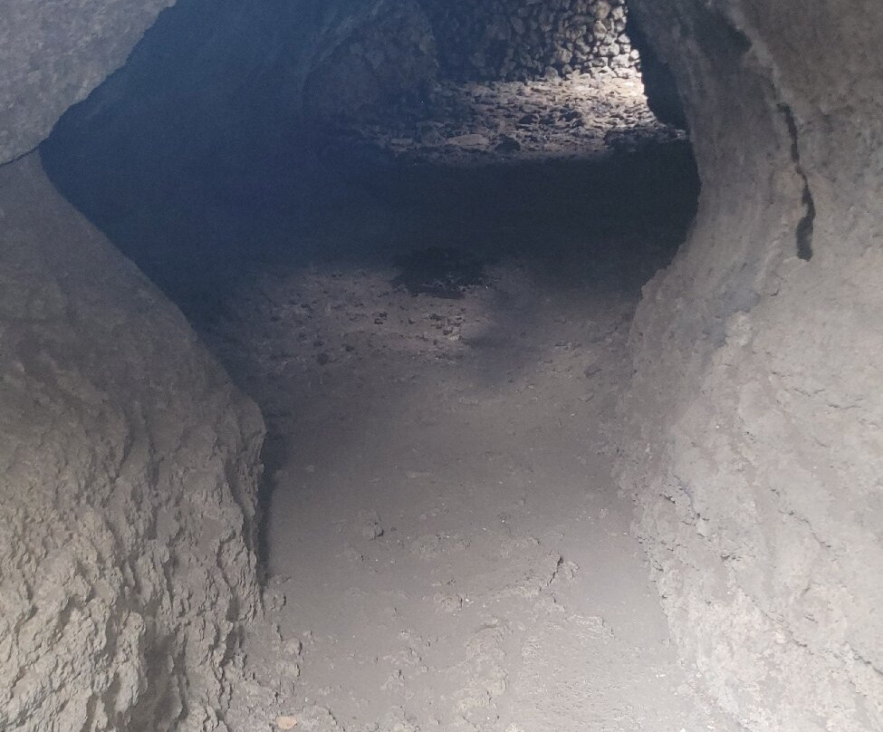 Ecomuseo de Guinea y Lagartario-Frontera必去景点