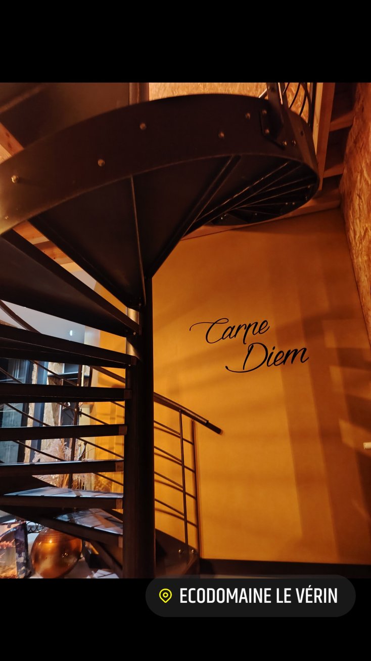 埃科多曼乐维林-度假屋和水疗-官方