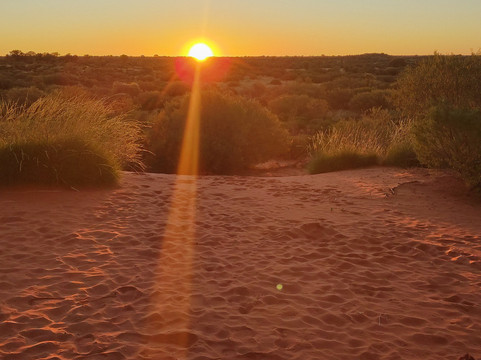 Mulgas Adventures-爱丽斯泉必去景点