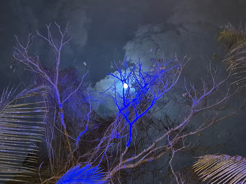 Silva Heritage-奔闹林必去景点