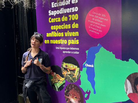 Wikiri Sapoparque-基多必去景点