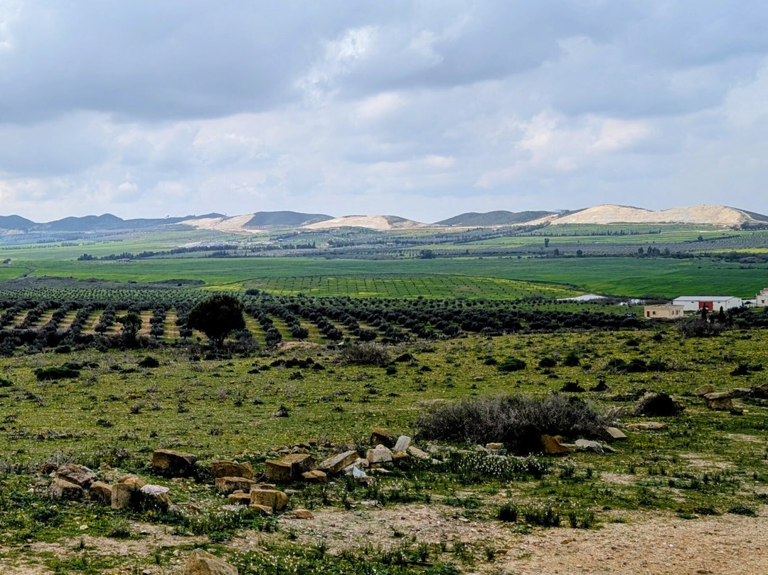 Uthina (Oudhna)-Ben Arous必去景点