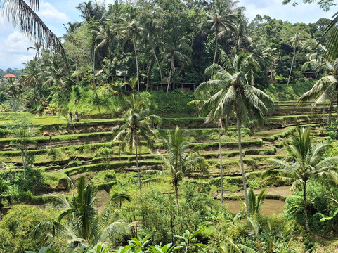 Bali Wayan - Bali Explore Tours-金巴兰必去景点