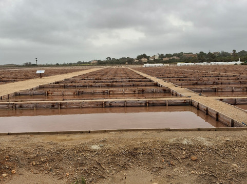 Salinas d'Es Trenc-Campos必去景点