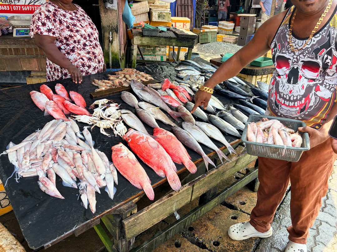 Ceylon D Tours-加勒必去景点