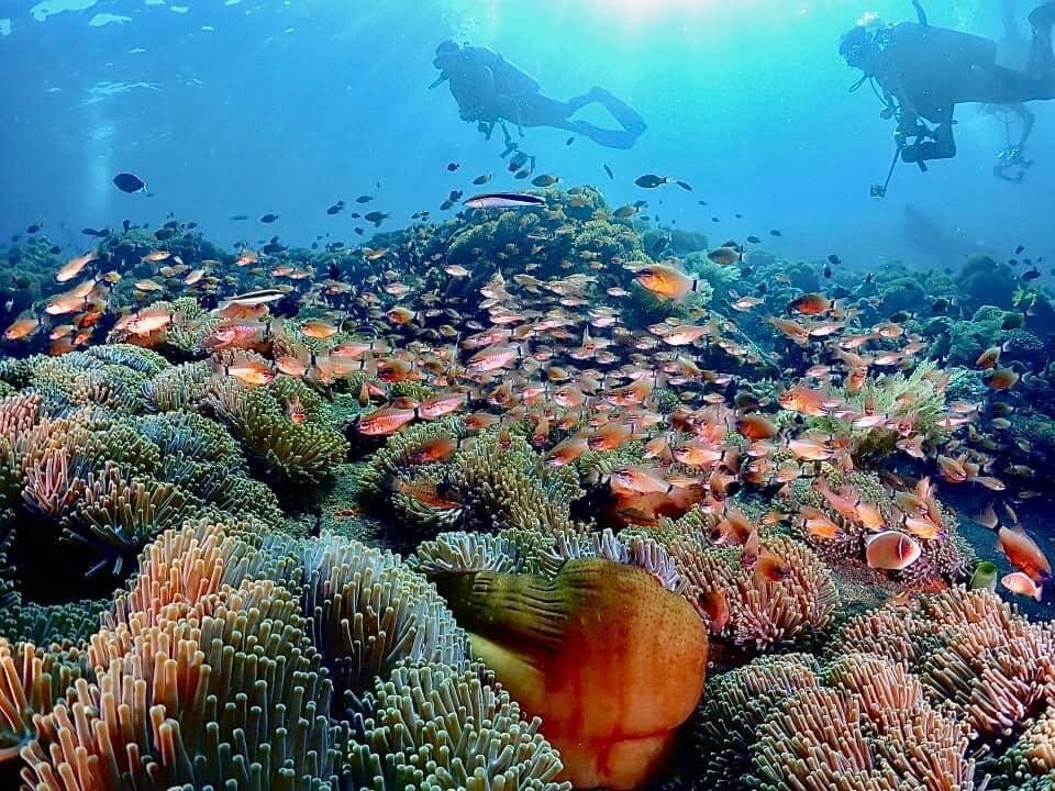 巴厘岛自由潜水度假村主图