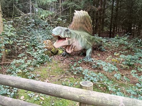 Hoo Zoo And Dinosaur World-特尔福德必去景点