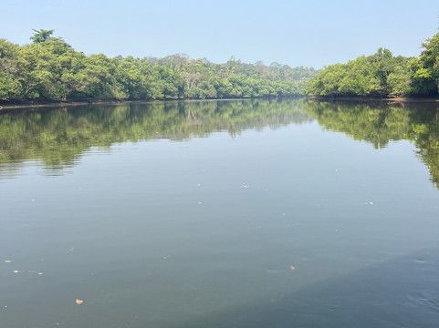 Jake The Snake Boat Trip-Tiswadi必去景点