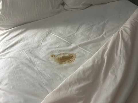 塞巴斯蒂安贝斯特韦斯特优质套房酒店主图