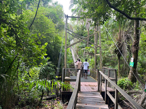 Lekki Conservation Centre-拉哥斯必去景点