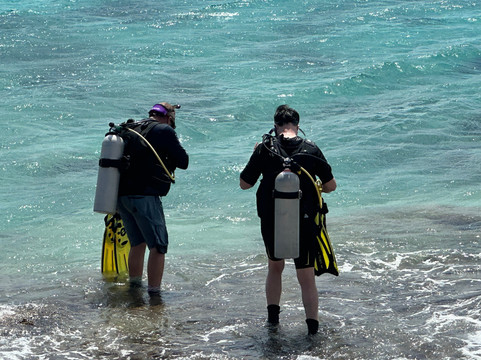 Flamingo Diving Bonaire-Belnem必去景点