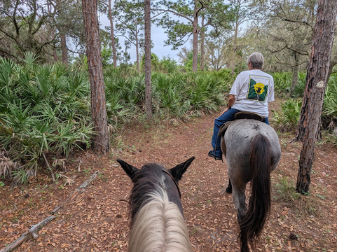 Wagon Wheel Horse Farm-奥基乔比必去景点