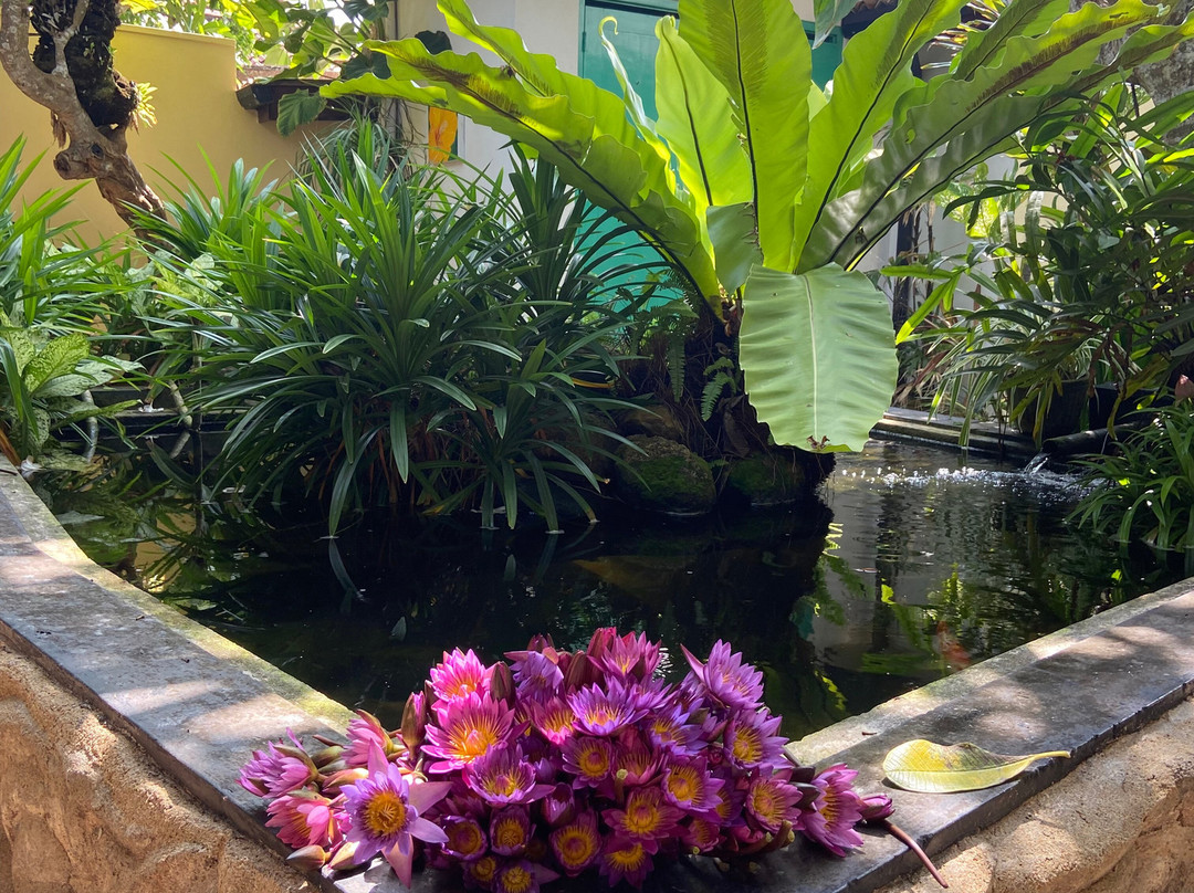 Ayurveda Garden主图