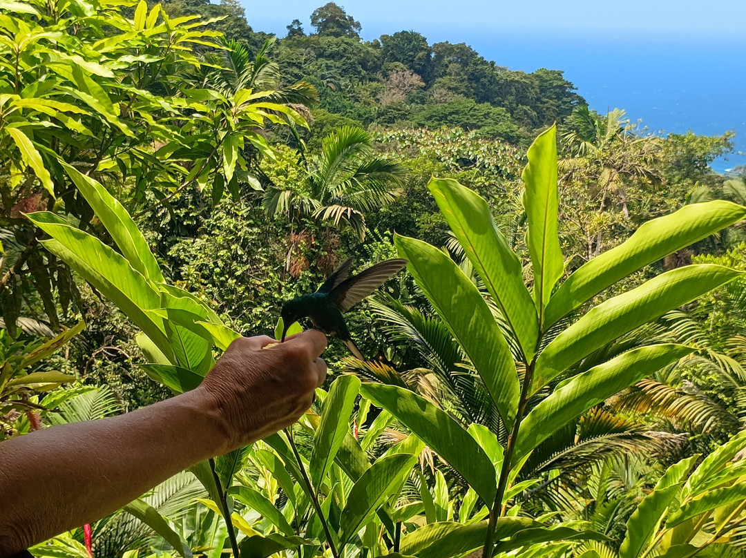 Hans Tours-斯卡伯勒必去景点