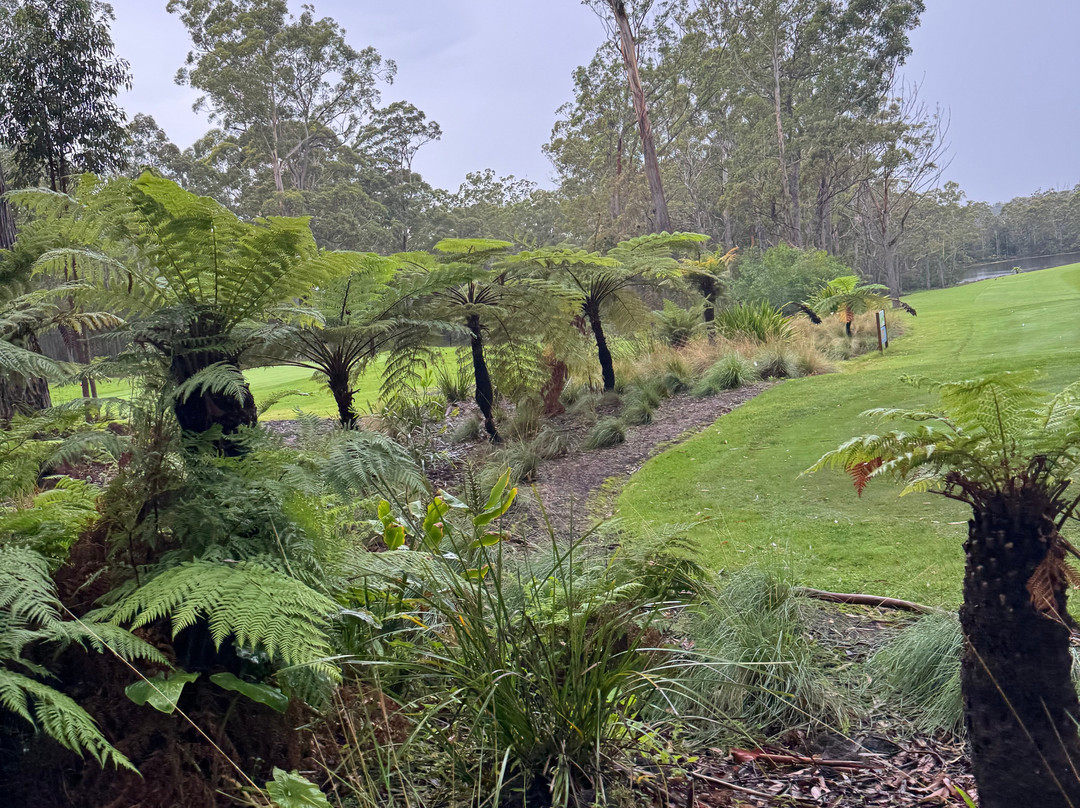 Pambula Merimbula Golf Club-梅林布拉必去景点