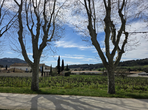 Domaine Tempier-Castellet必去景点