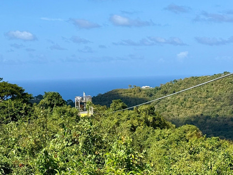 Carambola Zip Line-Frederiksted必去景点