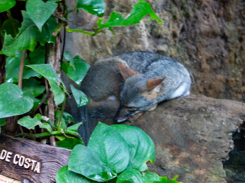 El Pantanal-瓜亚基尔必去景点