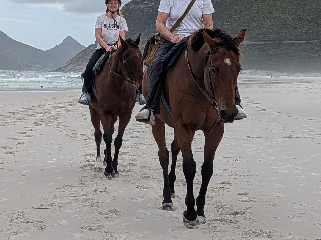 The Dunes Riding and Racing Stables-北角必去景点