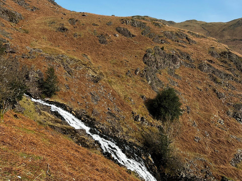 哈勃酒店的罗斯花园主图