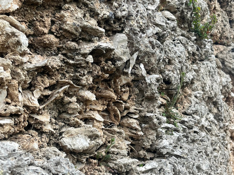 Parco Archeologico Manduria-Manduria必去景点